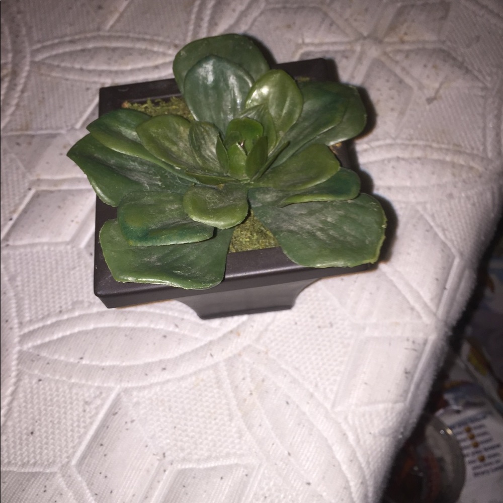 Faux plant decor piece